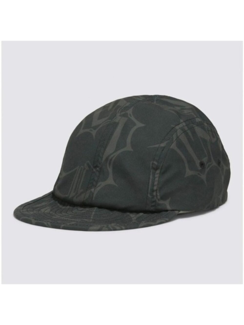 Vans Lewis Mills Cam Black Adjustable Cap OS New 062026